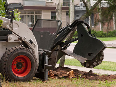 Stump Grinder Teeth & Pockets