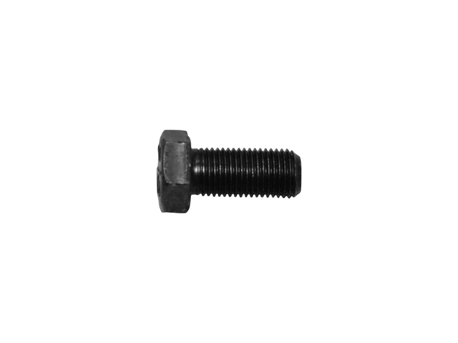 1/2" Bolt