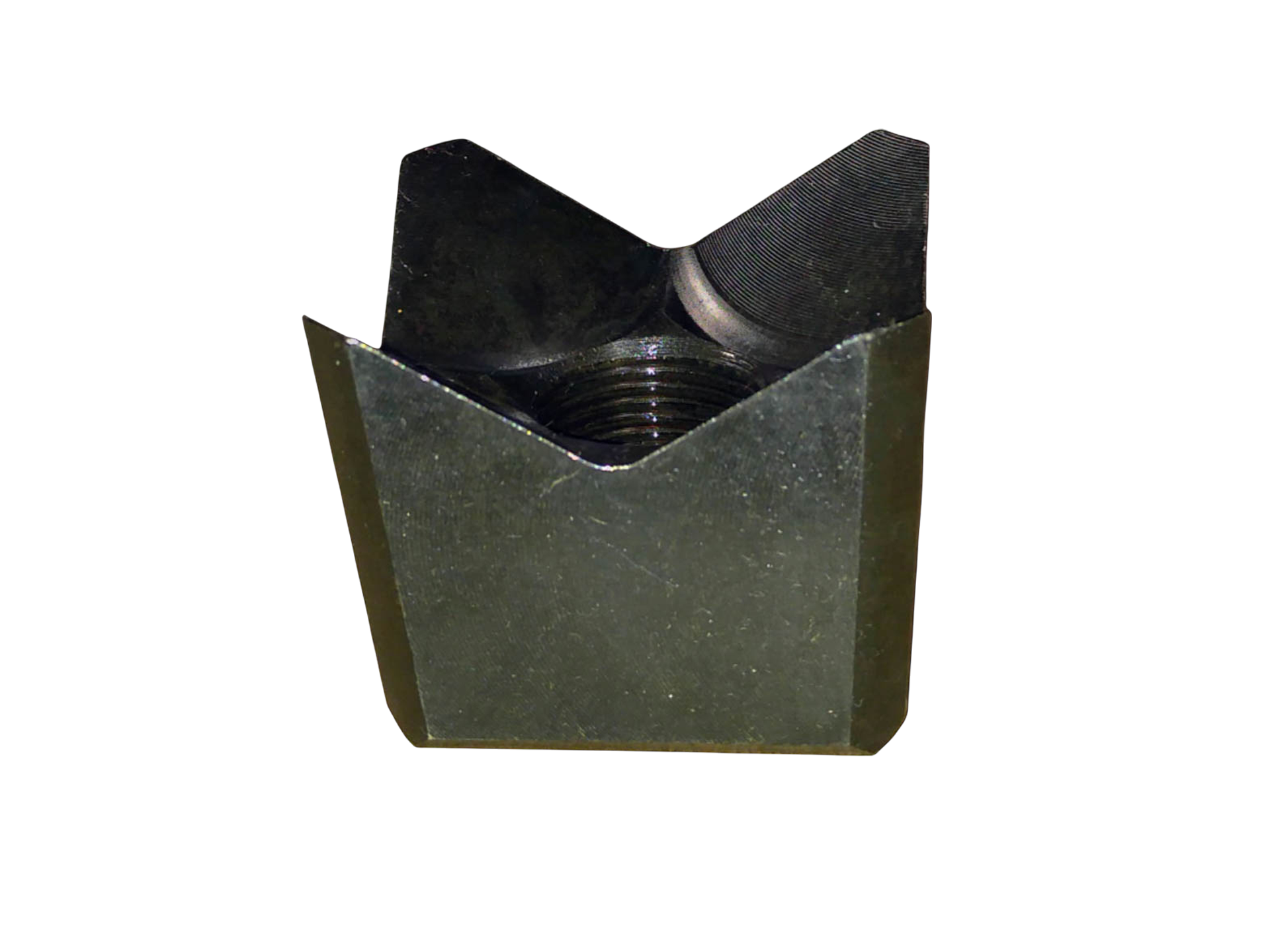 Feller Teeth