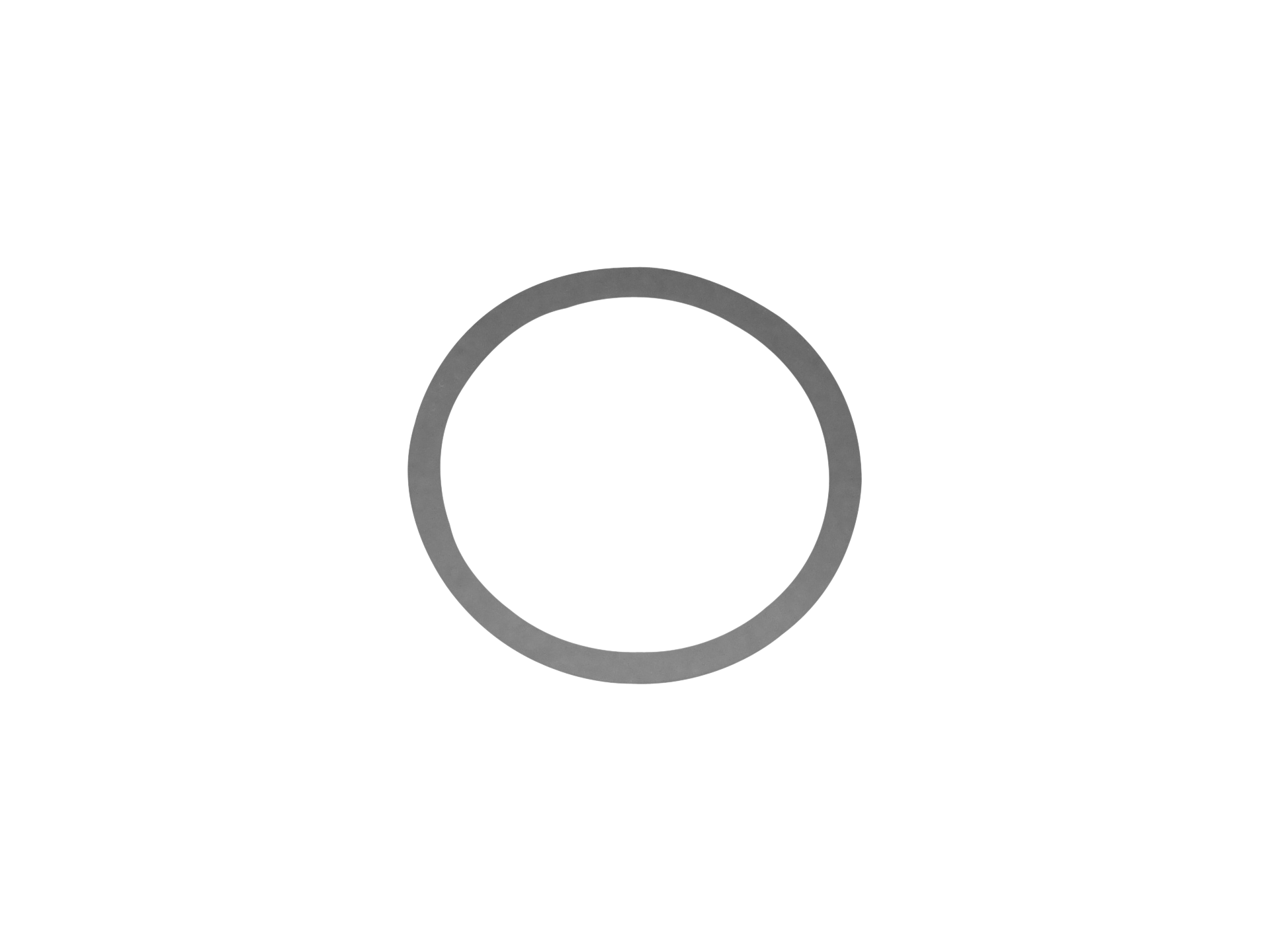 Backup O-Ring