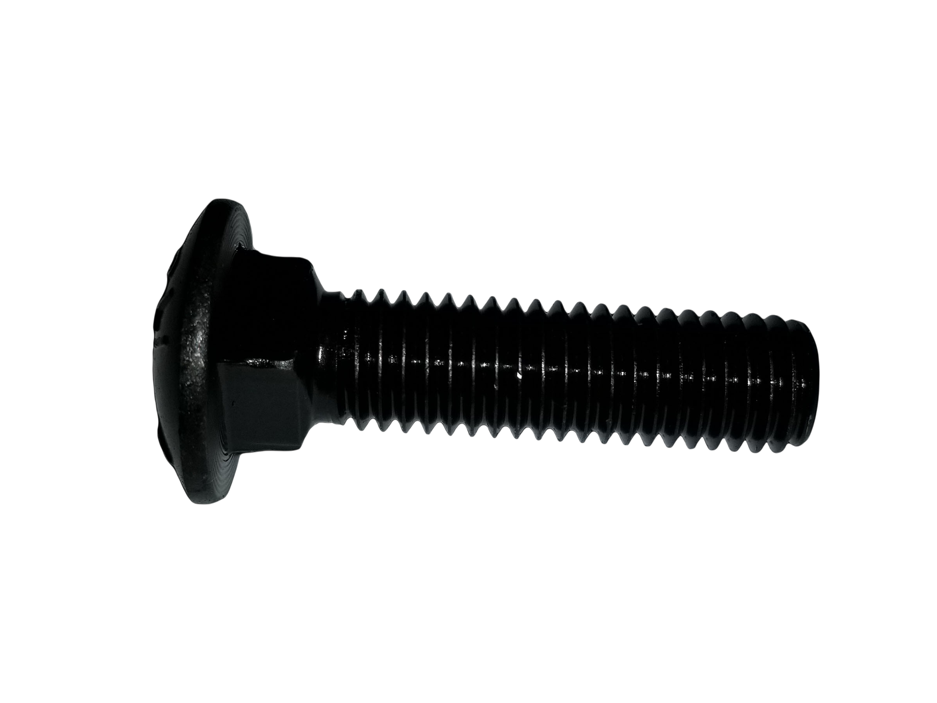 1/2" Carriage Bolt